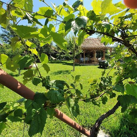 Valchid Guest House Dış mekan fotoğraf