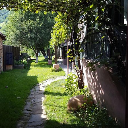 Valchid Guest House Dış mekan fotoğraf