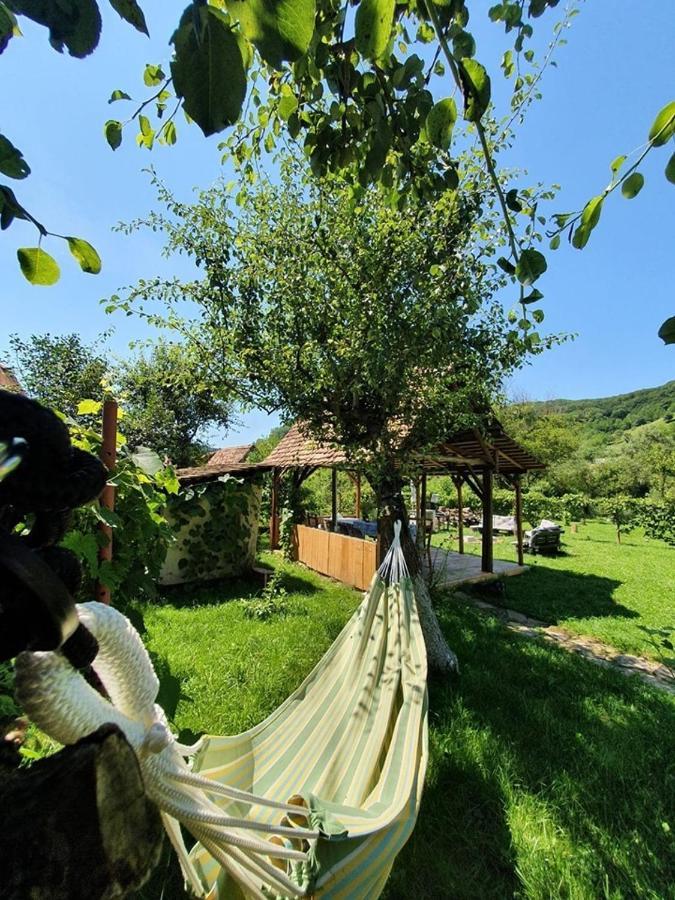 Valchid Guest House Dış mekan fotoğraf