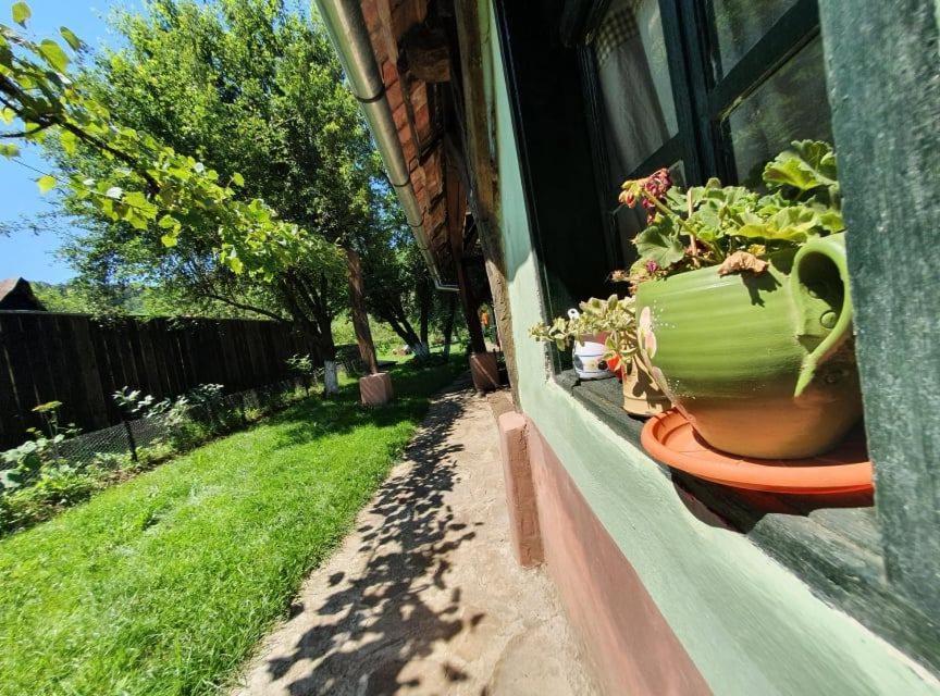 Valchid Guest House Dış mekan fotoğraf