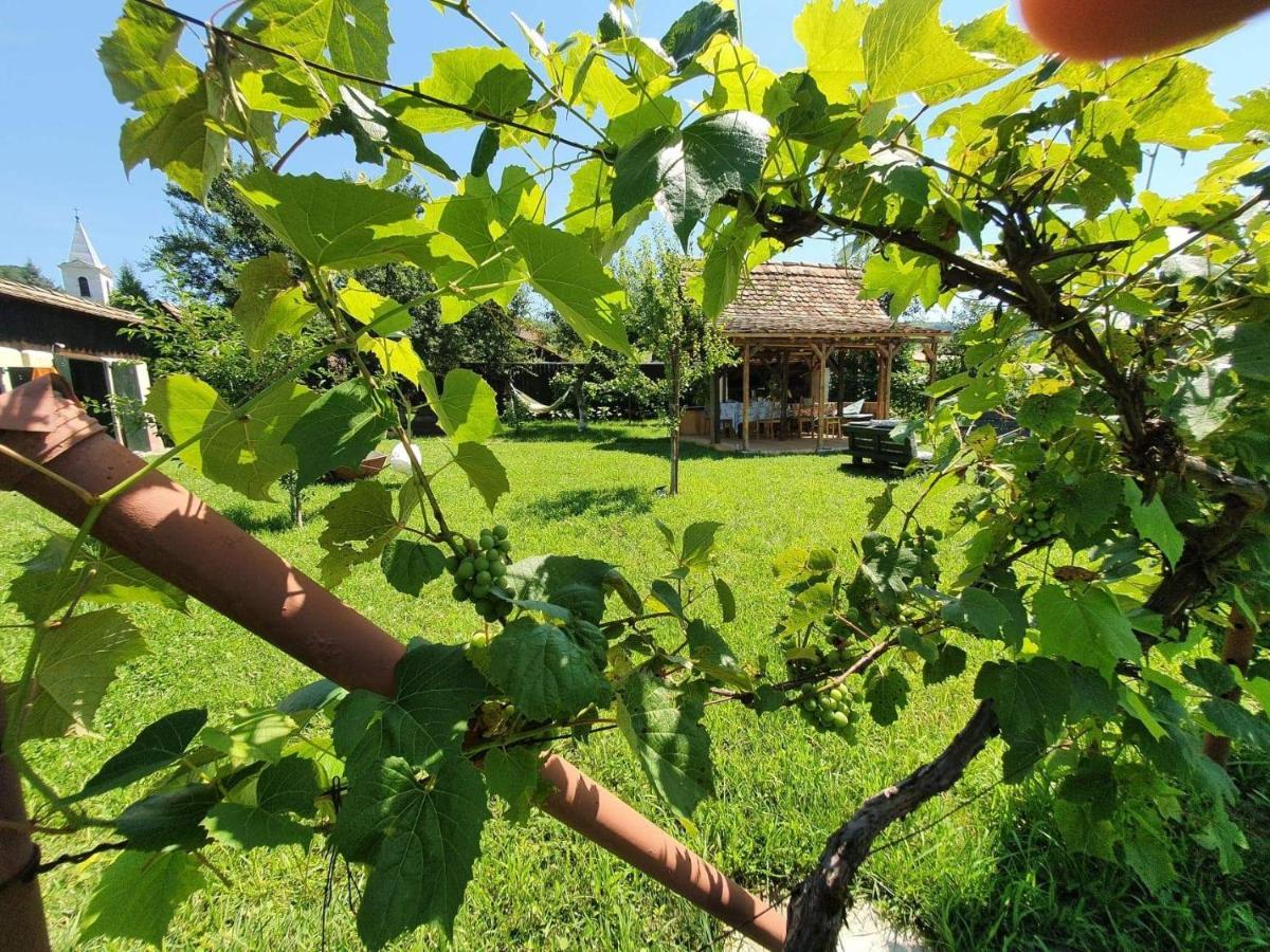 Valchid Guest House Dış mekan fotoğraf
