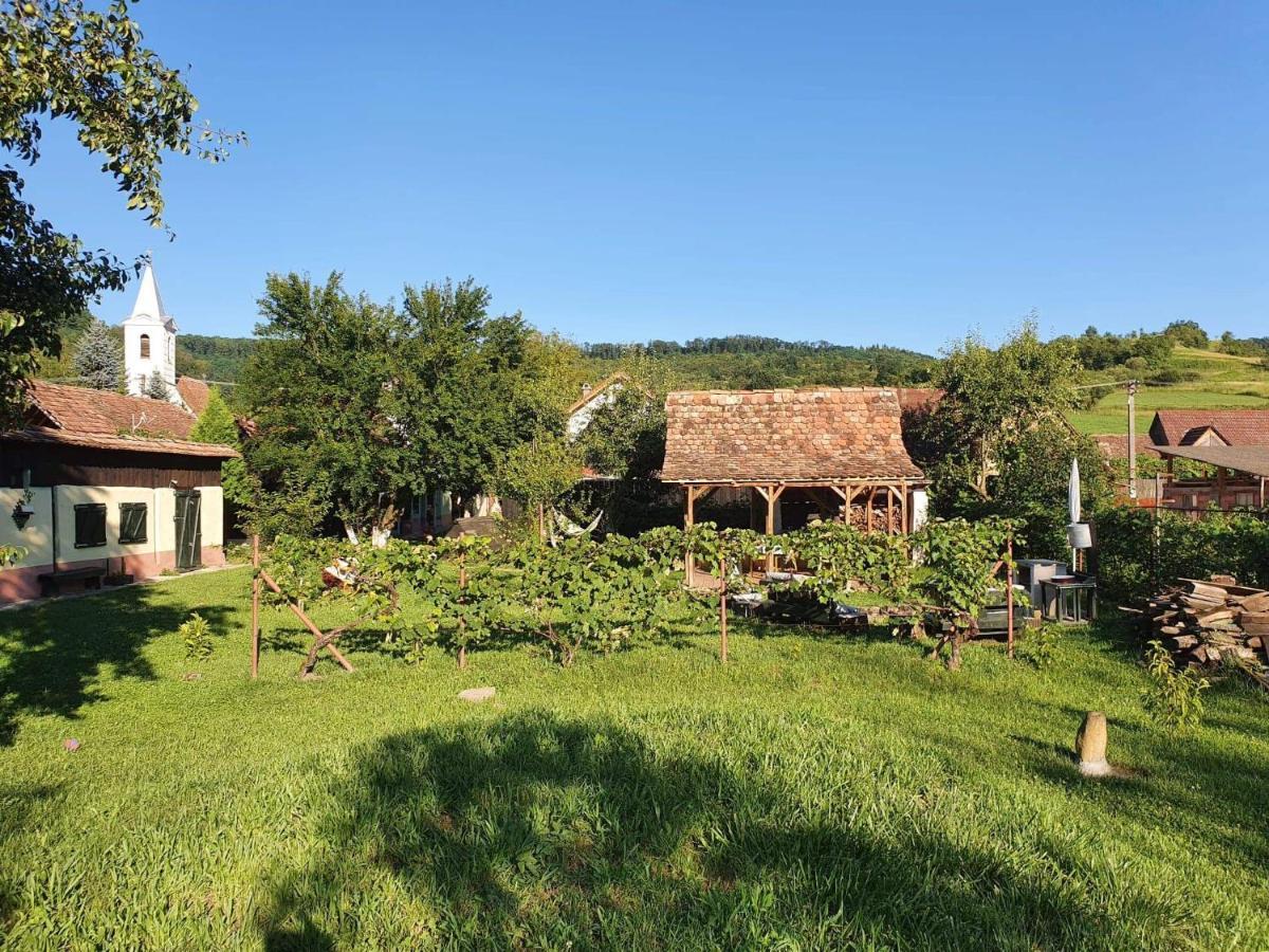 Valchid Guest House Dış mekan fotoğraf