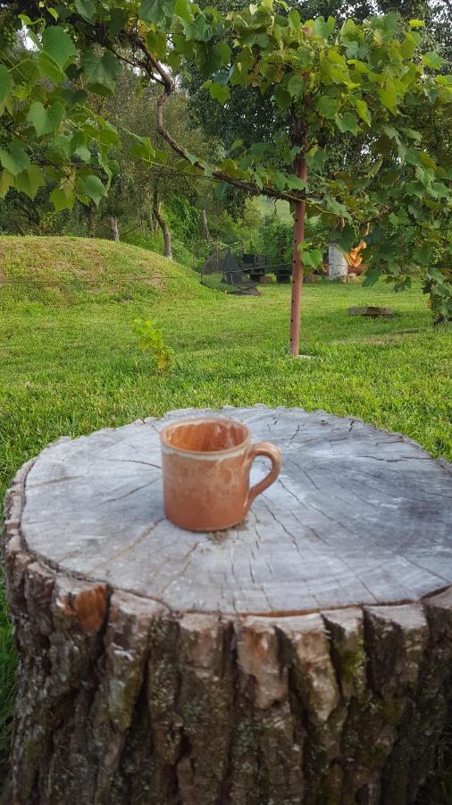 Valchid Guest House Dış mekan fotoğraf