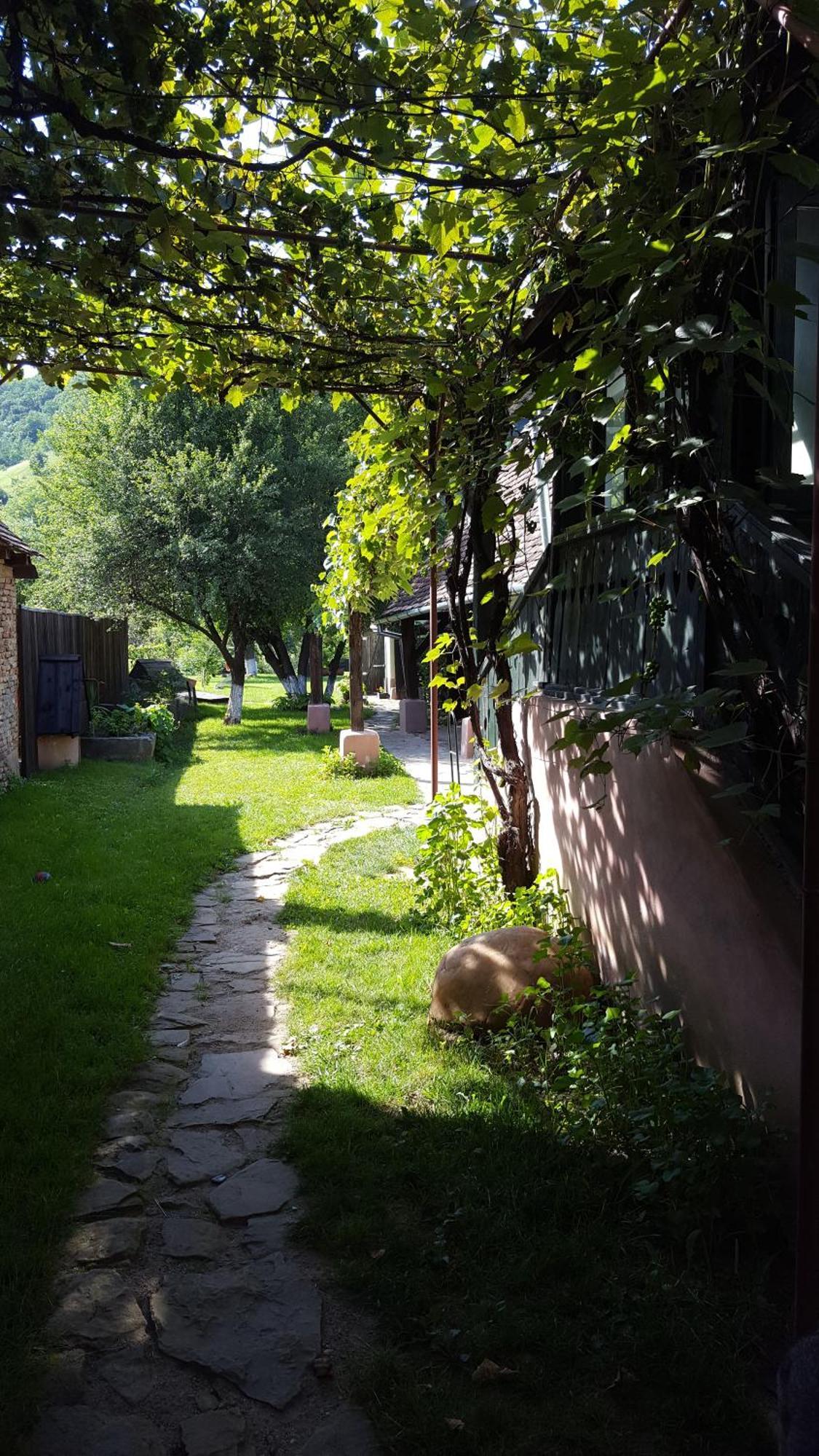 Valchid Guest House Dış mekan fotoğraf